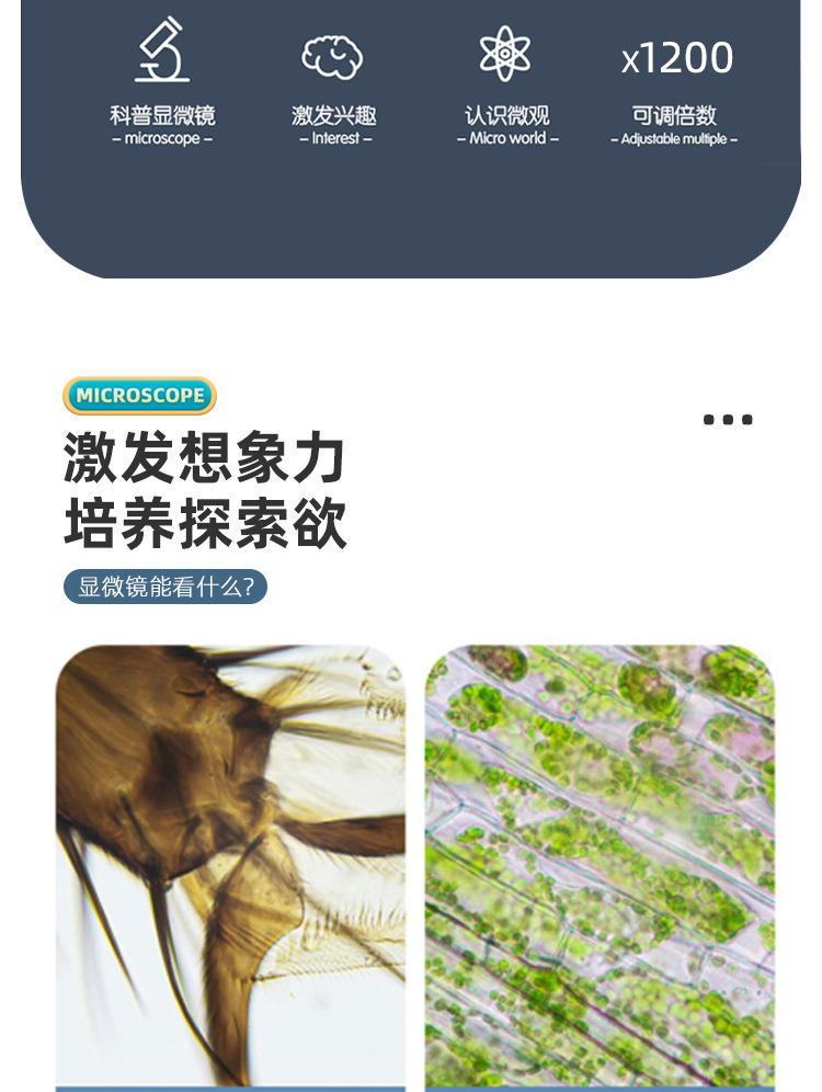 详情图23