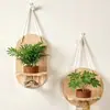 Conjunto de Plantas Verdes Hidropônicas de Parede com Suporte de Parede de Madeira Natural para Sala de Estar, Quarto, Mesa, Decoração Fresca, Plantas Fáceis de Cuidar