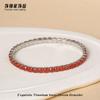 Pulseira Corrente com Garras de Zircônia Colorida em Aço Inoxidável para Mulheres, Luxo Leve, Aço Titânio de Alta Qualidade, Pulseira Elástica que Não Desbota, Estilo Europeu e Americano
