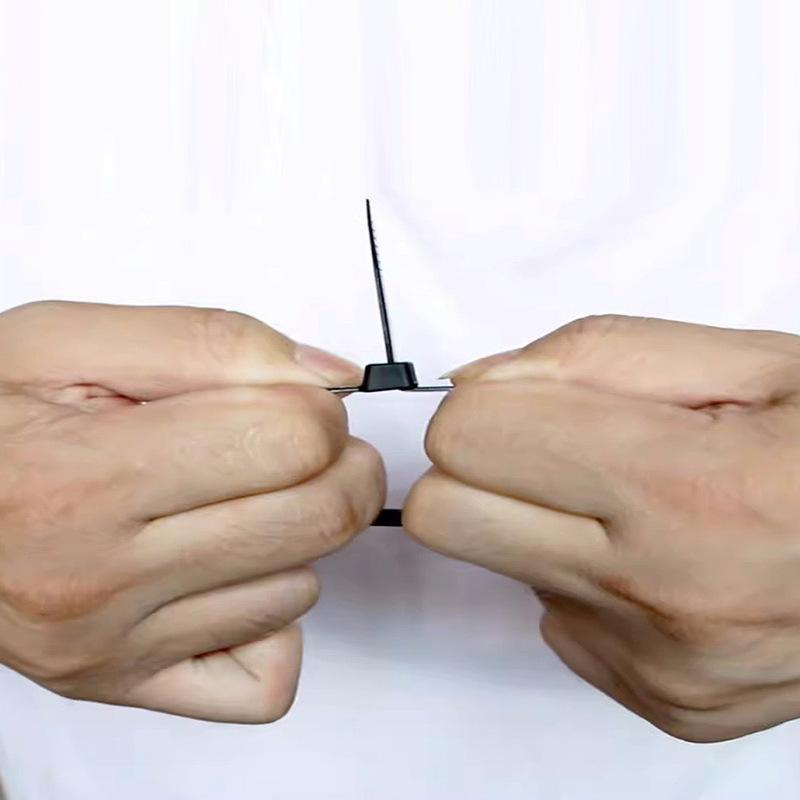 微信图片_202410280859212