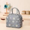 Bolsa Satchel Catiónica Impermeable para Almuerzo con Aislamiento Bolsa Lonchera Aislada Bolsa Aislada Lámina de Aluminio Engrosada Bolsa de Hielo Bolsa para Almuerzo