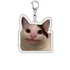 Rana Acrílico Souvenir Mascota Perro Expresión Perro y Gato Colgante Creativo Foto Llavero Otros