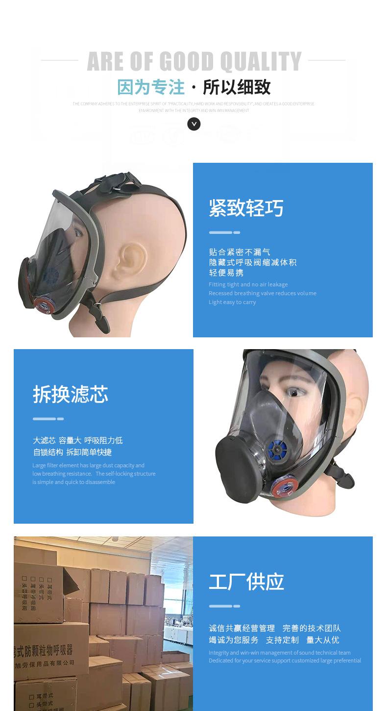 防毒面罩全面罩