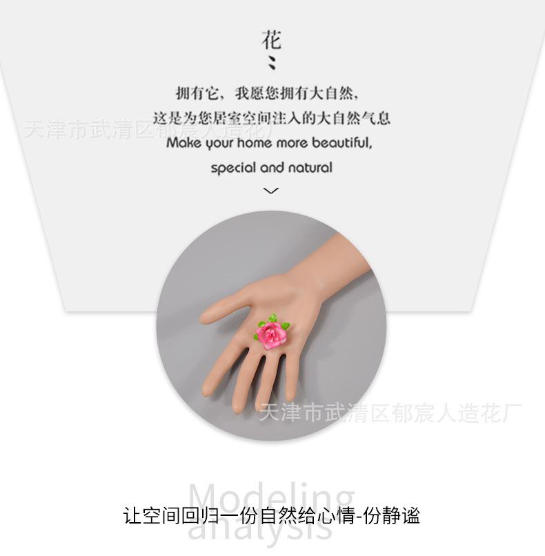 详情_05.png