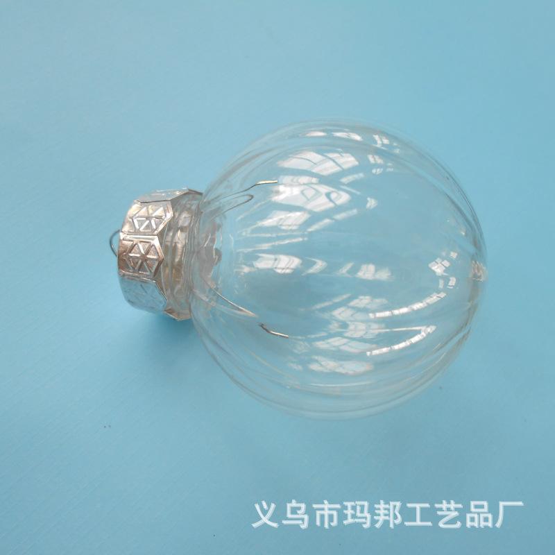 DSCN0695