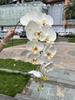 Nuevos fabricantes de phalaenopsis rosa con tacto de algodón de silicona 9 tacto phalaenopsis de Taiwán bodas hogar flores artificiales
