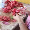 Productos Más Vendidos en Amazon Decoraciones Navideñas Multicolor Accesorios para Árbol de Navidad Flor Navideña Hueca con Polvo Dorado