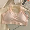 Ropa interior de algodón puro para mujer, desarrollo, estudiantes de secundaria, estudiantes de preparatoria, tirantes ajustables, deportivo, a prueba de golpes, sujetador delgado para niña