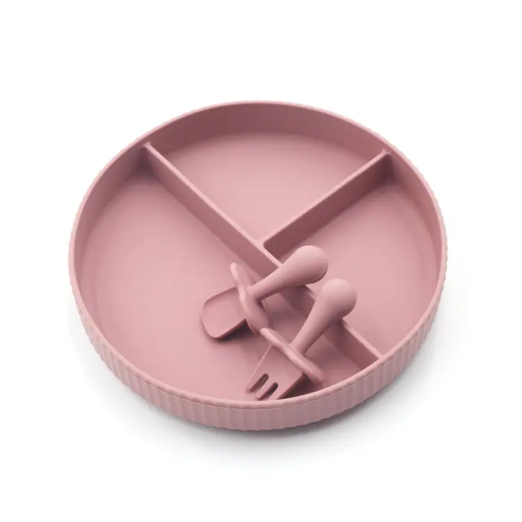 silicone suction plate (9)