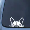 Adesivos para Interruptor de Cachorro Adesivos para Carro Primeira Geração Esculpidos Fabricantes de Comércio Exterior Adesivos de Decoração para Carro Europeus e Americanos com Suporte Adesivo
