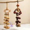 Sonajero Minimalista Estilo Sanación de Cáscara de Fruta DIY Colgante para Coche, Encanto para Bolso, Semillas que Cumplen Deseos, Popular en Zonas Turísticas