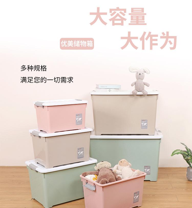 详情_01.jpg