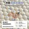 Protetor de Colchão Acolchoado Modelo Novo 2026 Peça Única Cobertura de Cama Protetor de Colchão Lençol de Cama para Quarto de Estudante Individual Lençol de Cama Cobertura Total