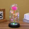 Flor Eterna Transfronteriza Cubierta Acrílica Flor de Hoja de Oro Rosa Regalo Día de San Valentín Luz Nocturna Adorno de Escritorio Regalo Venta al por Mayor