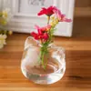 Jarrón de vidrio estilo japonés decoración del hogar gato escritorio planta verde jarrón hidropónico micro-paisaje creativo mini lindo