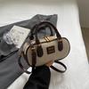 Bolso de Mano para Bolos Texturizado para Mujer 2024 Nuevo Moderno Vintage Cadena Cuadrado Pequeño Bolso de Lona Versátil Bolso Cruzado
