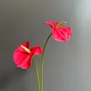 Pata de urso de PU flor artificial decoração de casa adereços de casamento flor artificial vermelha de PU arranjo de fotografia