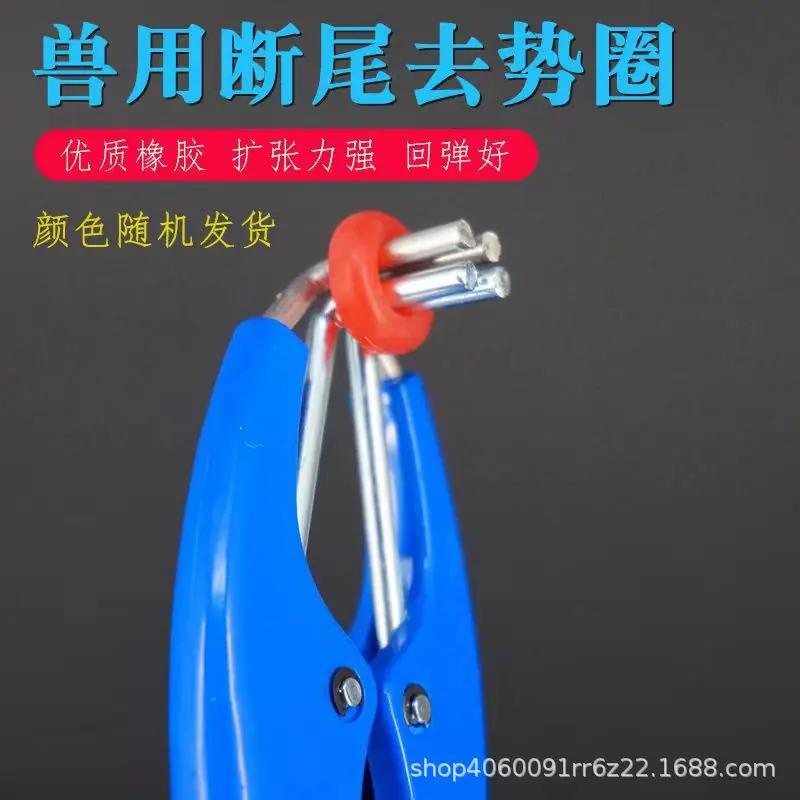 微信图片_20240405131921.jpg