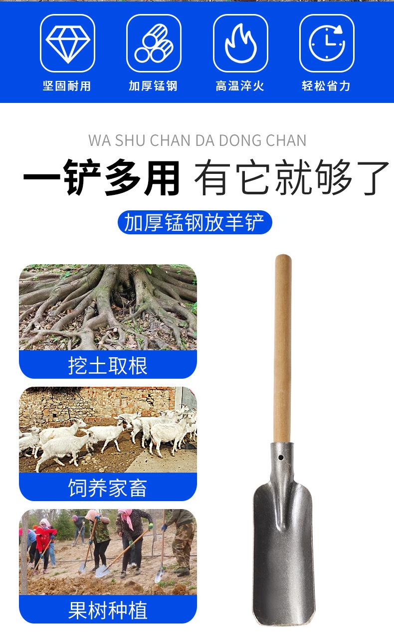 详情_02.jpg