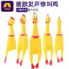 YGDFree Shipping a Zonas RemotasEnlace Exclusivo: Todos los Artículos para Mascotas Disponibles para Venta al por Mayor a partir de 10 Artículos