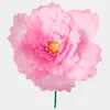 Adereços de Dança Flores de Papel Rosa Performance de Palco Infantil Dança de Abertura Reunião Esportiva Flores de Mão Flores Artificiais Grandes