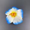 Mingchu Hibae Flor de Amora Joias Flor Artificial Feminina Doce Flor de Praia Marítima Grampo de Cabelo Presilha de Cabeça Flor de Ovo Lote