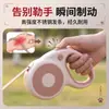 Guia retrátil automática para animais de estimação com alça antiderrapante, adequada para passear com cães pequenos e médios, fornecimento direto da fábrica para comércio transfronteiriço