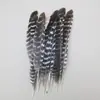 Venda Direta de Fábrica de Quase 100 Tipos de Acessórios Naturais de Penas Pequenas para Joias DIY, Acessórios de Cabeça, Broches, Chapéus, Materiais de Decoração para Artesanato