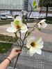 Nueva simulación magnolia blanca fábrica comercio exterior 3 magnolia de loto accesorios para sesión de boda flores falsas al por mayor