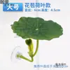 Hojas de Paisajismo para Acuario para Descansar y Dormir, Plantas Acuáticas Artificiales para Betta, Lecho de Puesta, Hoja de Loto, Escondite de Descanso para Betta