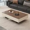Mesa de Centro de Madeira Maciça Estilo Retrô Sala de Estar Uso Doméstico Tampo de Rocha Minimalista Moderno Luxo Leve Italiano Apartamento Pequeno e Grande Nova Mesa de Centro