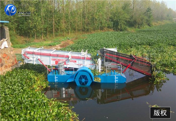 15湖北咸宁水葫芦打捞船 (3).jpg