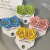 Pendientes de flores de primavera y verano para mujer, con aguja de plata S925, elegantes y femeninos, con pintura en aerosol de metal y cinco hojas.