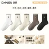Calcetines de mujer Zhuji para primavera y otoño, algodón puro con bordado de oso, calcetines lindos y versátiles de colores combinados hasta la pantorrilla, calcetines de algodón Maillard