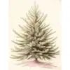 Pintura Sem Moldura de Natal da Amazon Transfronteiriça Estilo Nórdico Elemento de Natal Pintura Decorativa Sala de Estar Estudo Entrada Pintura para Pendurar