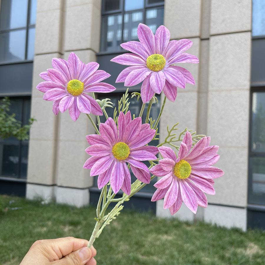 4头手感夏菊-sxekx-3#紫红.JPG