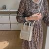 Bolso de Mano Tejido Popular de Textura de Nicho para Mujer 2023 Nuevo de Verano Bolso para Teléfono Móvil Bolso Cruzado de Moda Versátil