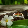 Olla de Aceite Esencial para Spa Tailandés Salón de Belleza Cerámica Hoja Botella de Aceite Esencial Aromaterapia Mezcla Dispensación Bandeja de Spa Set