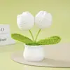 Producto Terminado: Planta en Maceta de Hilo de Tulipán Tejido a Mano Transfronterizo, Flor Artificial de Hilo, Regalo Exquisito para el Día de la Madre y el Día del Maestro