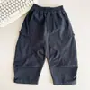 Vale do Vento 2026 Outono Novo Estilo Coreano Meninos Bonitos Calça Plissada Cimitarra Bonita Versátil Roupa de Trabalho Infantil Calça Comprida