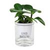 Maceta de Resina Autoirrigable para Suculentas para Jardineros Perezosos, Maceta Transparente de Plástico para Flores de Orquídeas