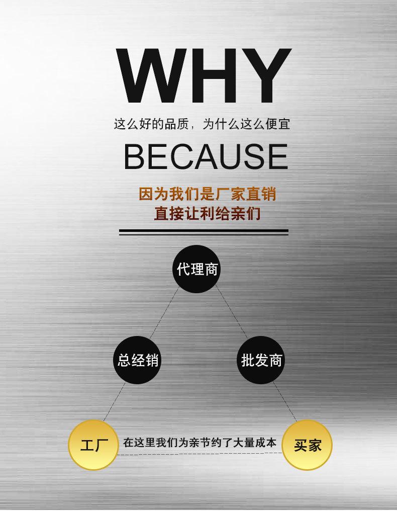 金属烤漆异形徽章