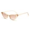 Nuevas gafas de ojo de gato de montura pequeña para mujer, gafas de sol de ojo de gato triangulares, a la moda, combinan con todo, estilo callejero retro europeo y americano, transfronterizas