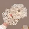 Goma para el pelo de malla con lunares marrones estilo coreano para mujer, elegante y sofisticada, adecuada para coletas y moños, accesorio para el cabello