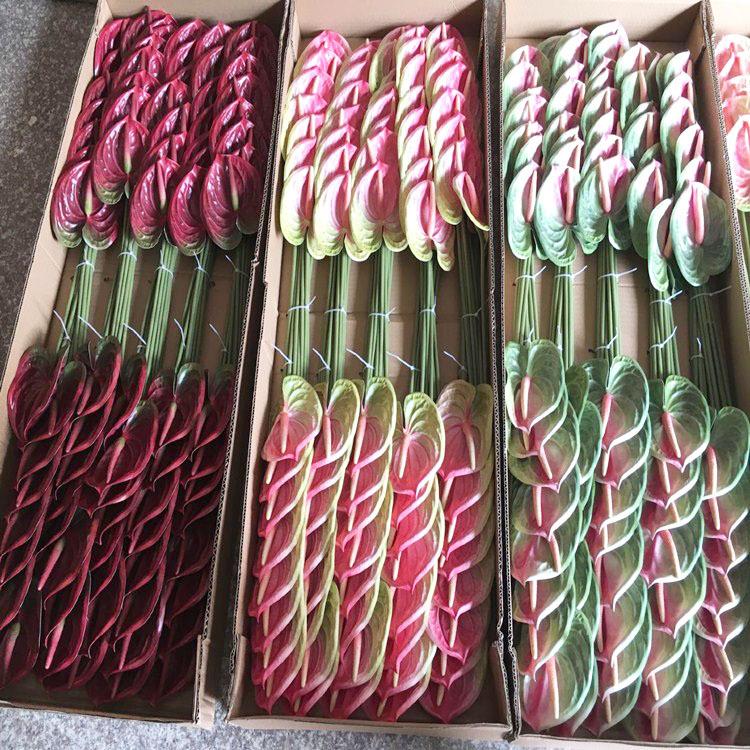 QQ图片20200809102512