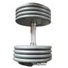 Cross-border atacado plástico cabeça redonda haltere haltere comercial equipamento de fitness casa aço puro puro ferro conjunto haltere