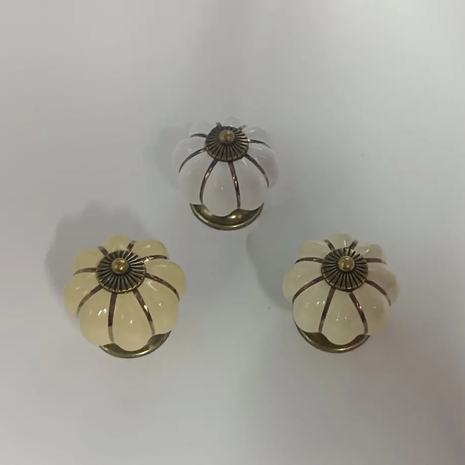 1000032054.jpg