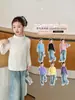 Modelo de Bienestar 2025 Suéter de Punto Básico de Siete Colores Rayas Puras Color Sólido Moda Versátil Suéter Personalizado de Exportación
