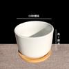 Vaso de flores carnudo de cerâmica Vaso de flores de planta carnuda Vaso de flores de porcelana branca Planta carnuda simples feita à mão Vaso de flores pequeno