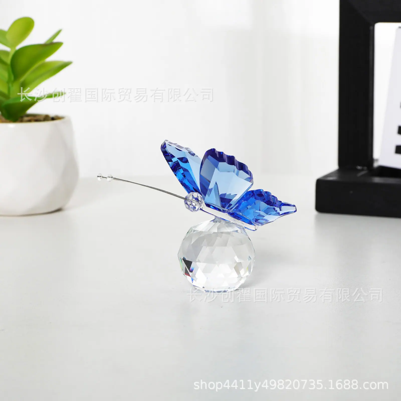 1- (19).jpg
